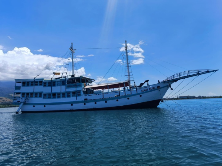 Sehat Elona Luxury Cruise